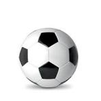 Logo R.F.C.E. MAURAGE